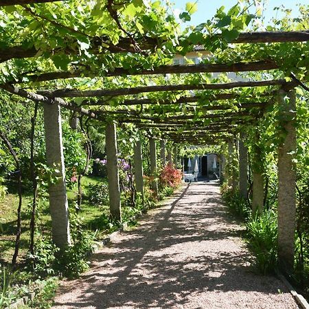 Hotel Villa Selva Лугано Экстерьер фото